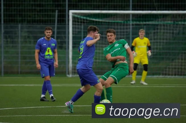 PA尊龙凯时 - 官方网站平台生态图